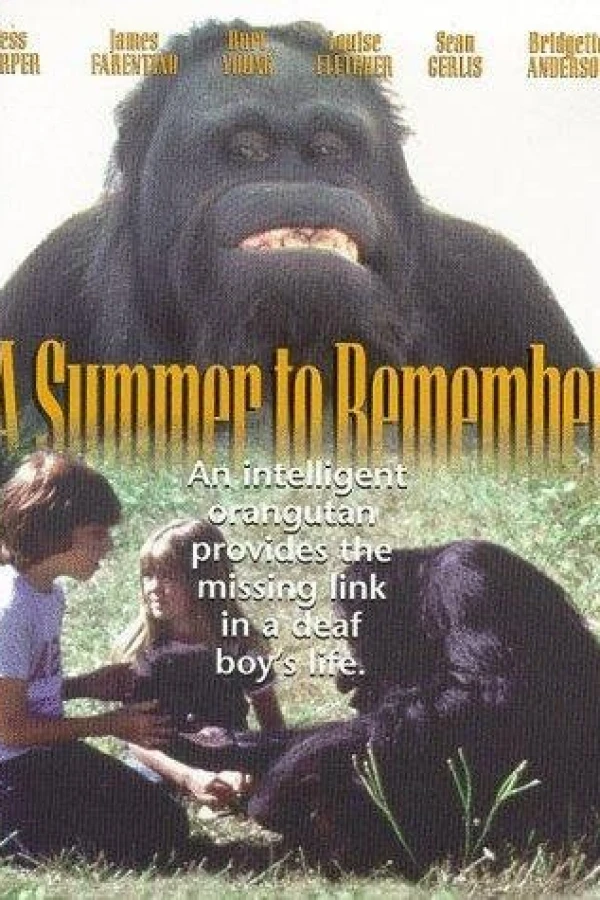 A Summer to Remember Poster