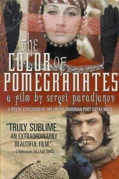 The Color of Pomegranates