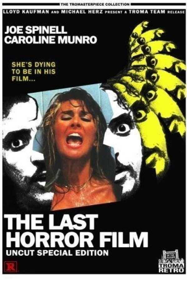 The Last Horror Film Poster