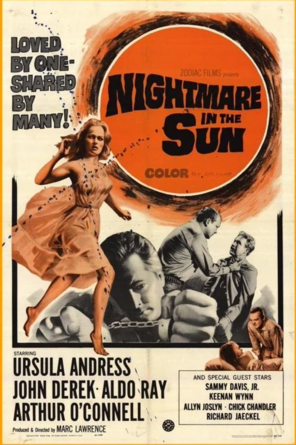 Nightmare in the Sun Poster