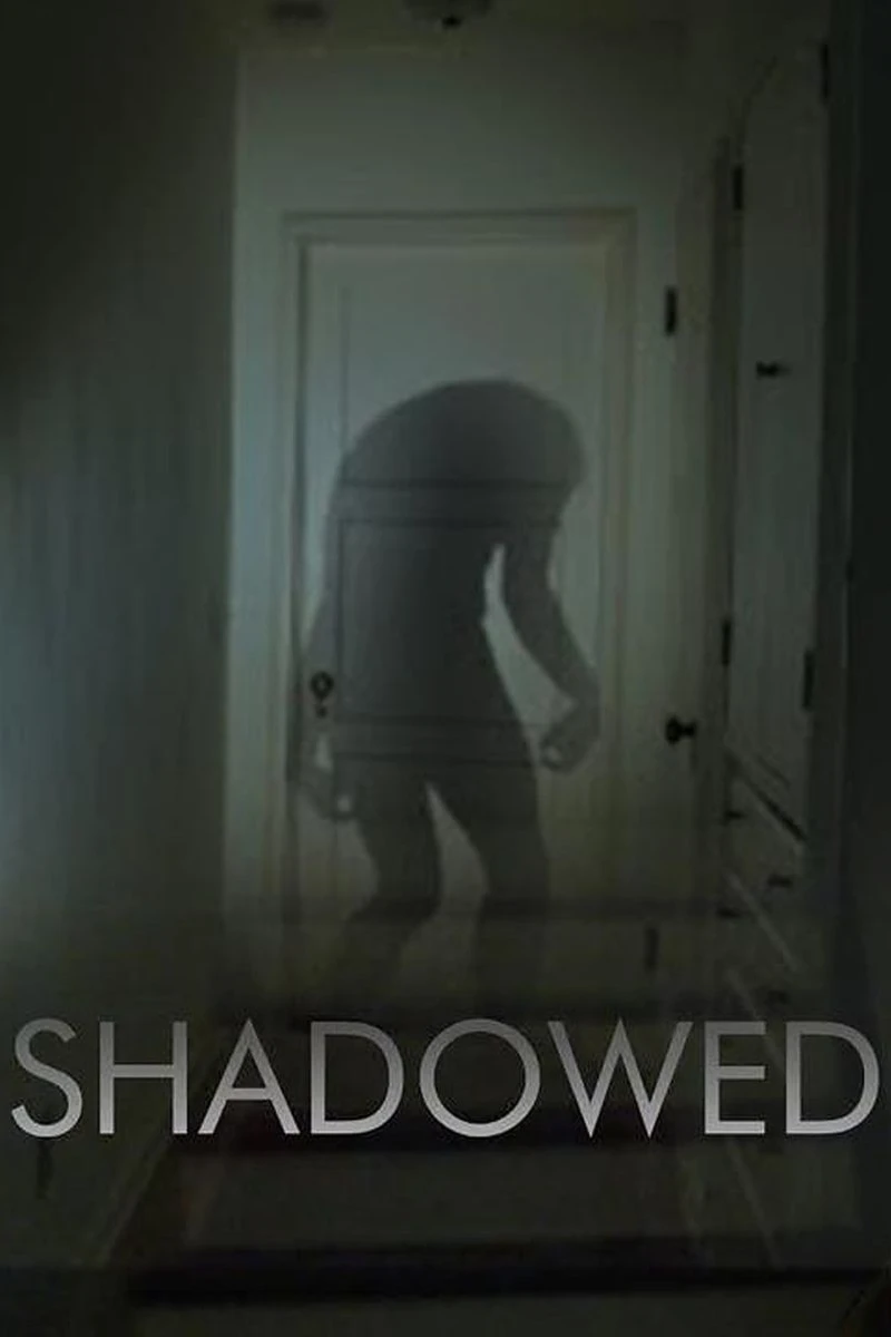 Shadowed Poster