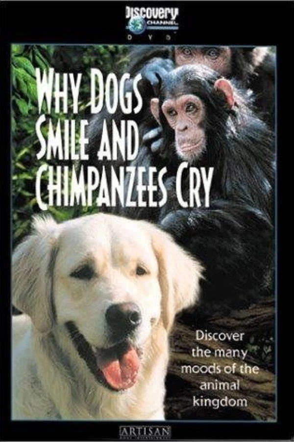 Why Dogs Smile Chimpanzees Cry Poster
