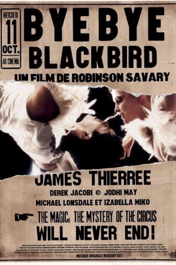 Bye Bye Blackbird Poster