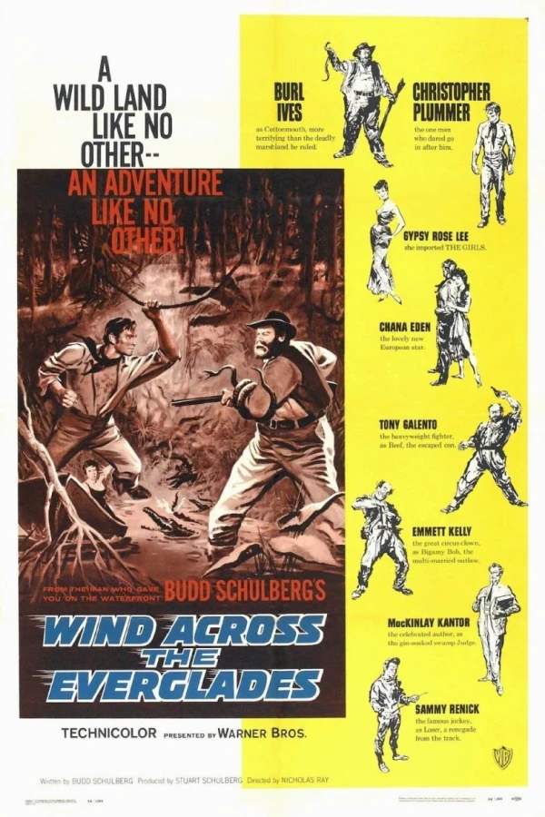 Wind Across the Everglades Poster