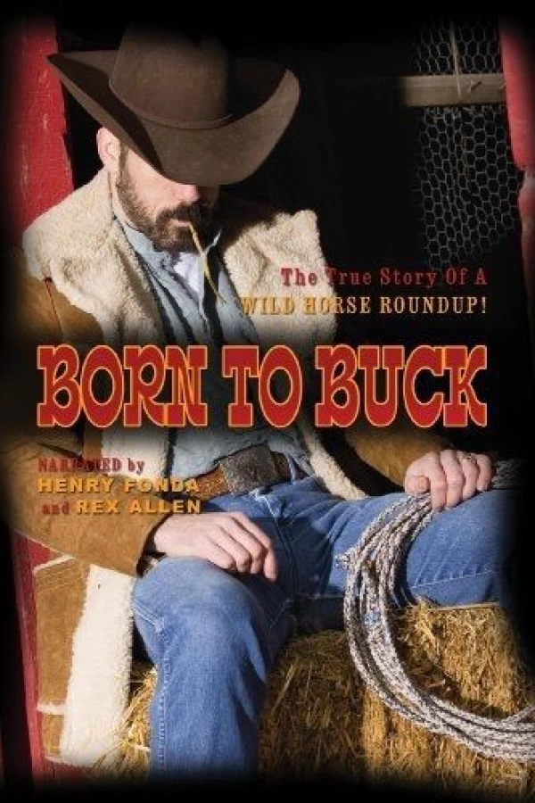 Born to Buck Poster