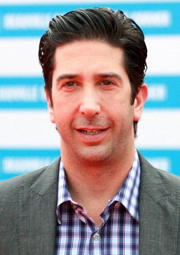 <strong>David Schwimmer</strong>. Afbeelding van Philippe Berdalle.